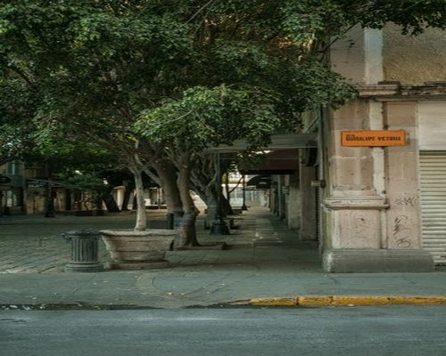 A quiet historic street path with sidewalk and trees in a high altitude Mexican town